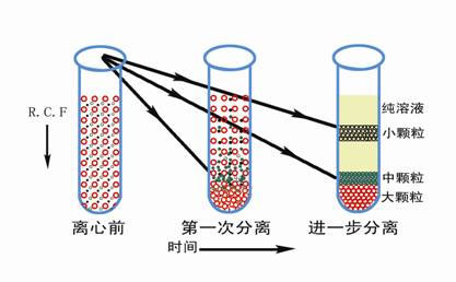 醫(yī)用離心機常用的離心方法